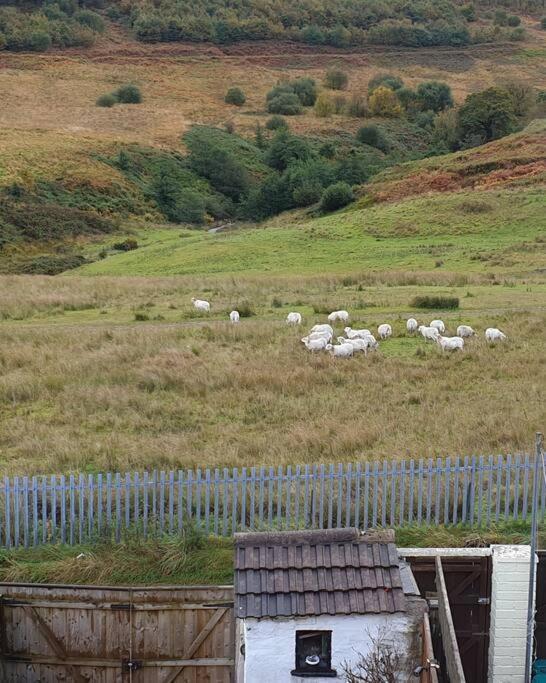 Welsh Miners Cottage Four Bedroom House Treherbert Exteriör bild